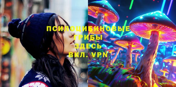 дмт Алексеевка