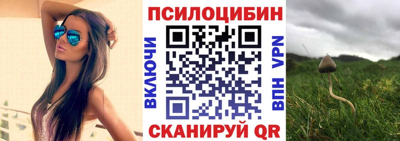 где купить наркоту  Разумное  Псилоцибиновые грибы прущие грибы 