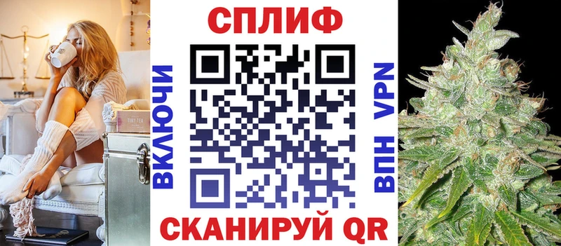 Бошки Шишки планчик  Разумное 